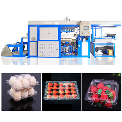 Hotels Plastic Thermoforming Vacuum Forming / Fruit Egg Carton Molding Tray Making Machine